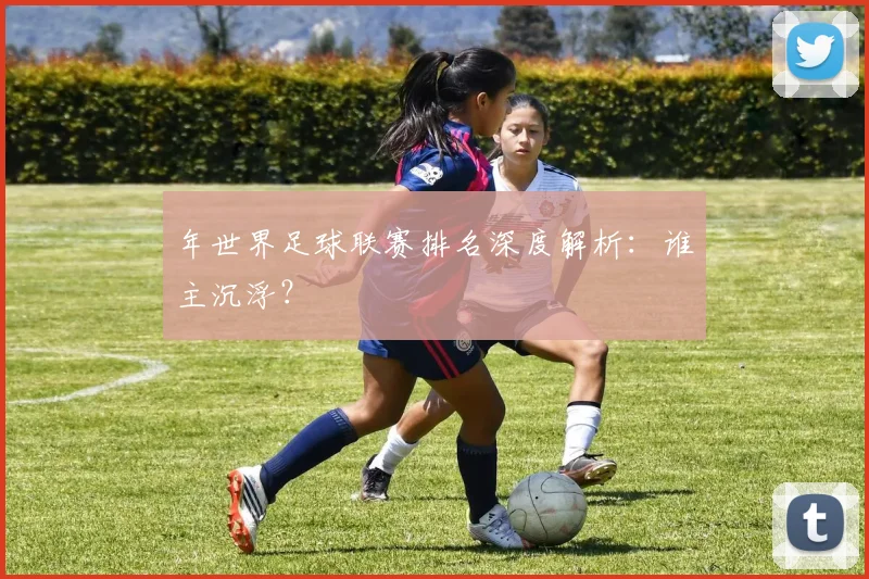 年世界足球联赛排名深度解析:谁主沉浮?
