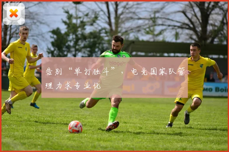 告别“单打独斗”,电竞国家队管理力求专业化