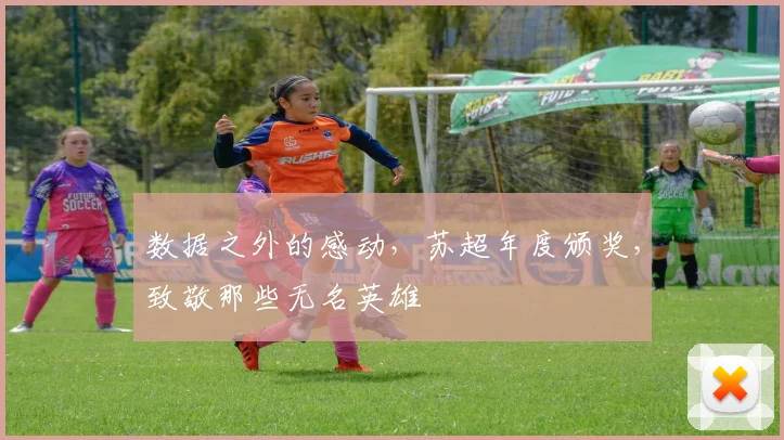 数据之外的感动,苏超年度颁奖,致敬那些无名英雄