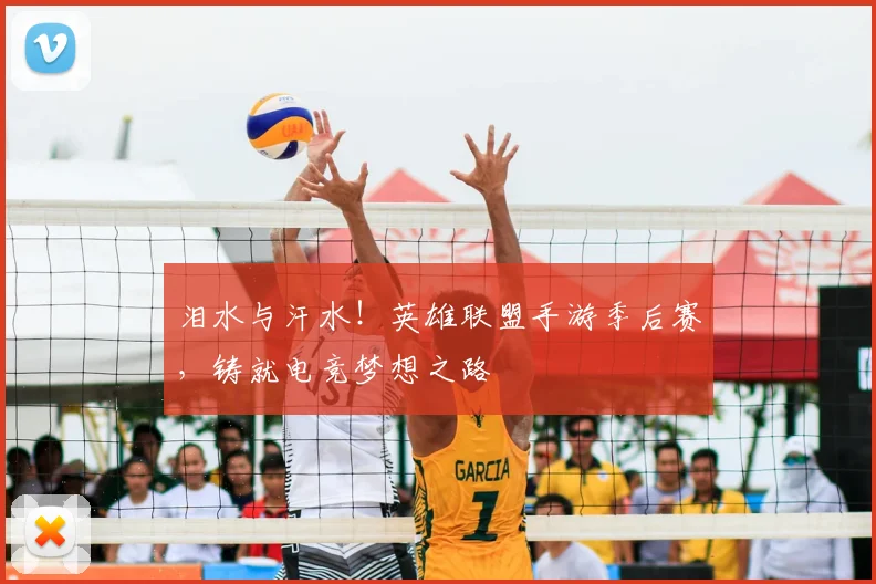 泪水与汗水!英雄联盟手游季后赛,铸就电竞梦想之路