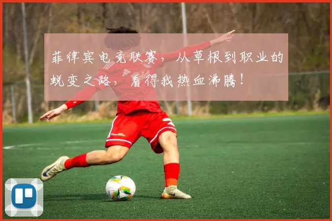 菲律宾电竞联赛,从草根到职业的蜕变之路,看得我热血沸腾!