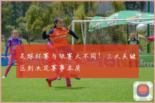 足球杯赛与联赛大不同！三大关键区别决定赛事本质
