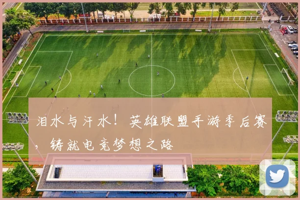 泪水与汗水!英雄联盟手游季后赛,铸就电竞梦想之路